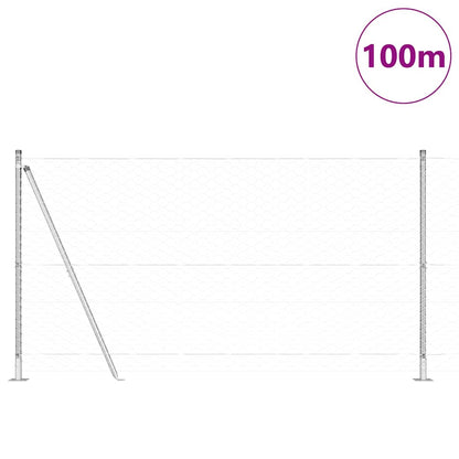 Afrasteringspaal Zilver 100 x 1,2 m (50 mm gaas) Staal
