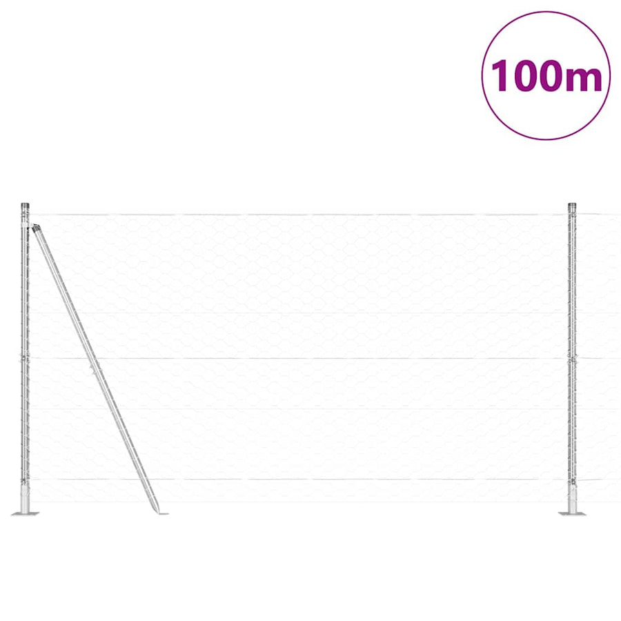 Afrasteringspaal Zilver 100 x 1,2 m (50 mm gaas) Staal