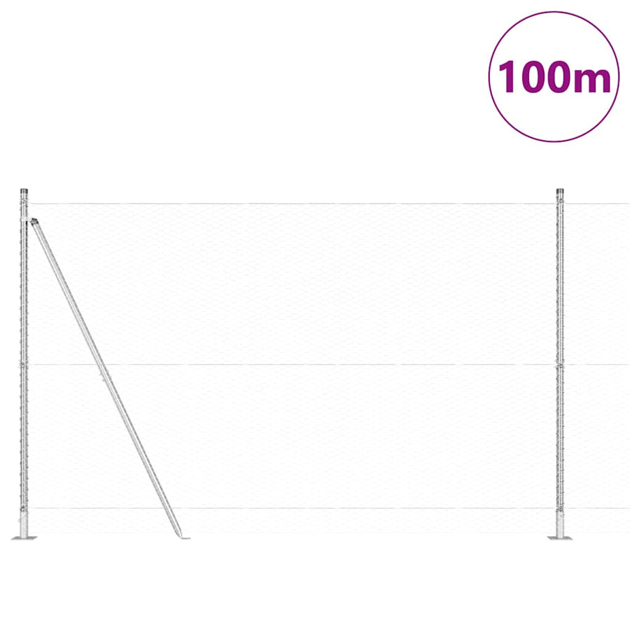 Afrasteringspaal Zilver 100 x 1,5 m (25 mm gaas) Staal