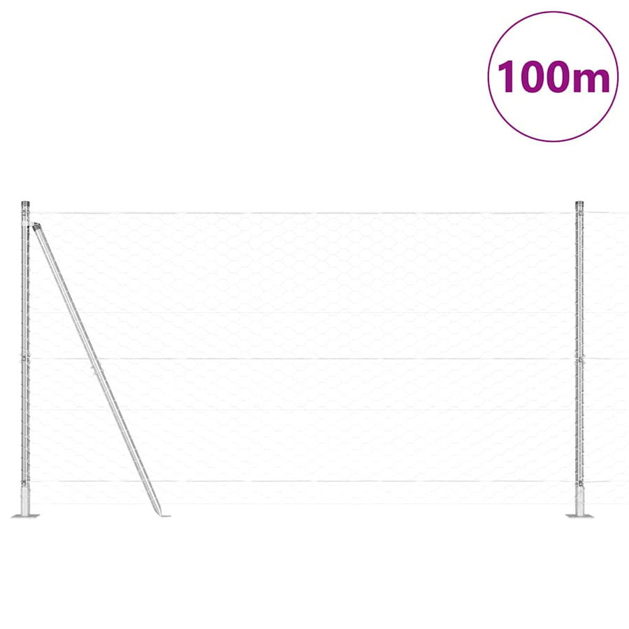 Afrasteringspaal Zilver 100 x 1,5 m (50 mm gaas) Staal