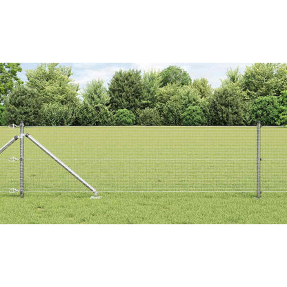Afrasteringspaal Zilver 10 x 0,6 m (25 x 25 mm gaas) Staal