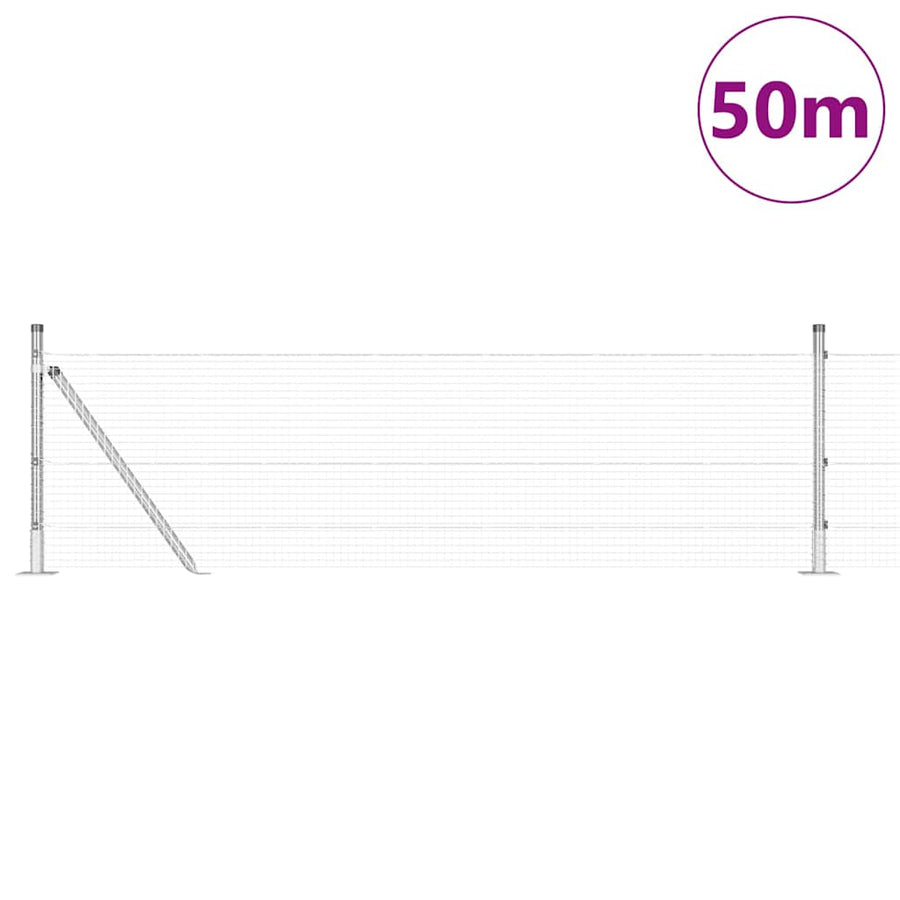 Laste Net met 13 Flens Posts Groen 0.6x50 m Staal