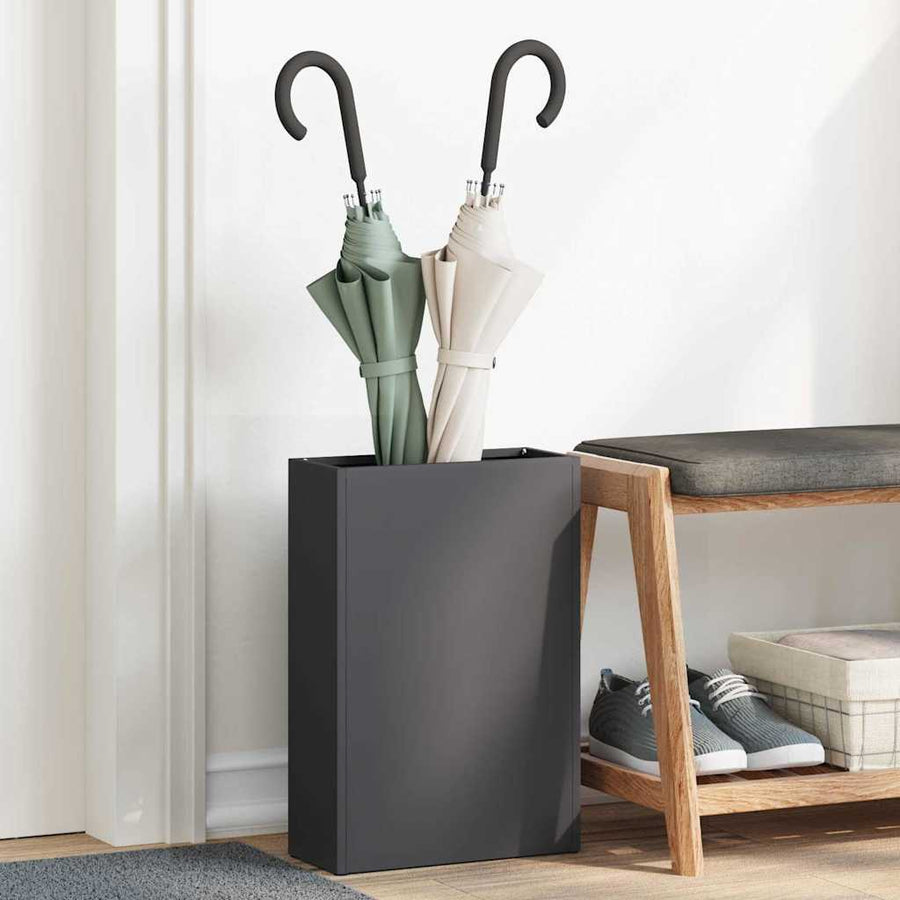 Paraplu Standaard met opslag Zwart 28 x 12 x 41 cm Metaal