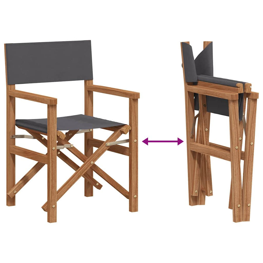 Vouwbare Regisseursstoel Grijs 56 x 54 x 87 cm Massief Teakhout