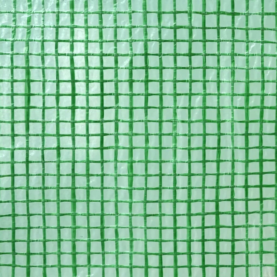 Kweekkas met opblaasframe Groen 290 x 290 x 315 cm Staal