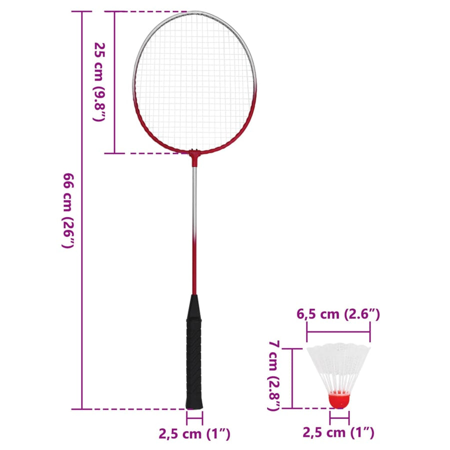 Badmintonset met 4 rackets en net 620x151 cm