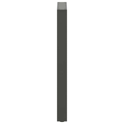 Bartafelpoten 2 st U-vormig 50x(90-91) cm staal antraciet