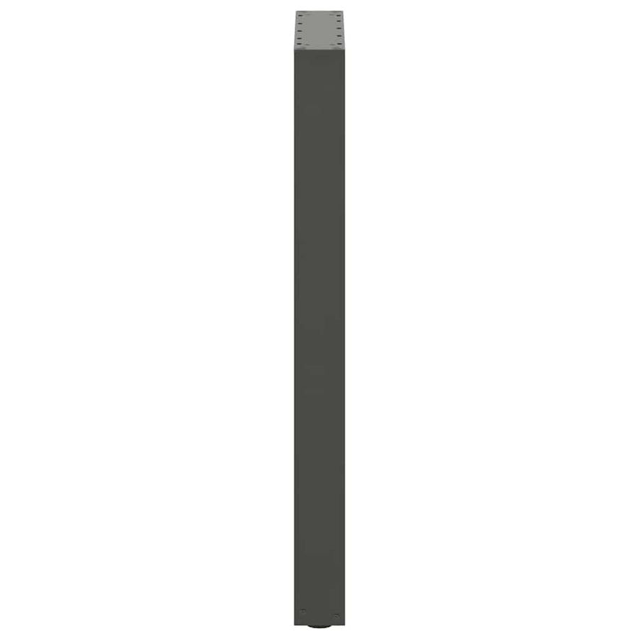 Bartafelpoten 2 st U-vormig 50x(90-91) cm staal antraciet