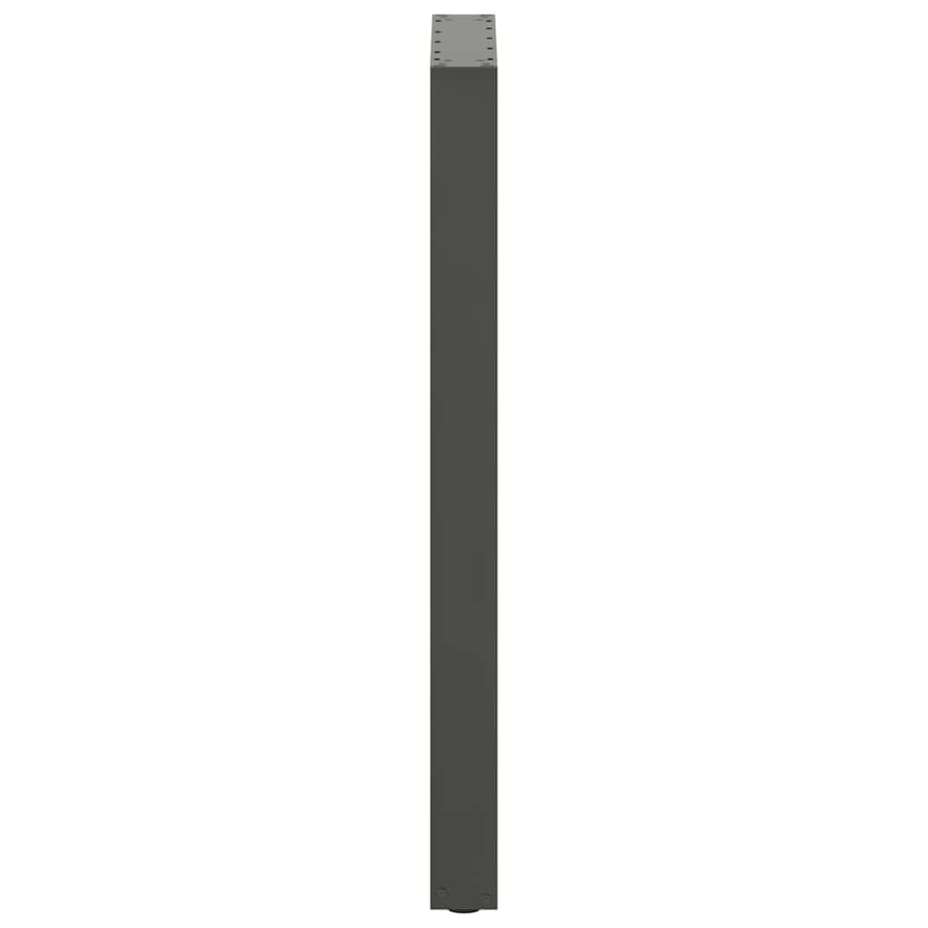Salontafelpoten 2 st U-vormig 40x(100-101) cm staal antraciet