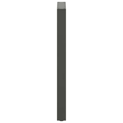 Salontafelpoten 2 st U-vormig 40x(100-101) cm staal antraciet