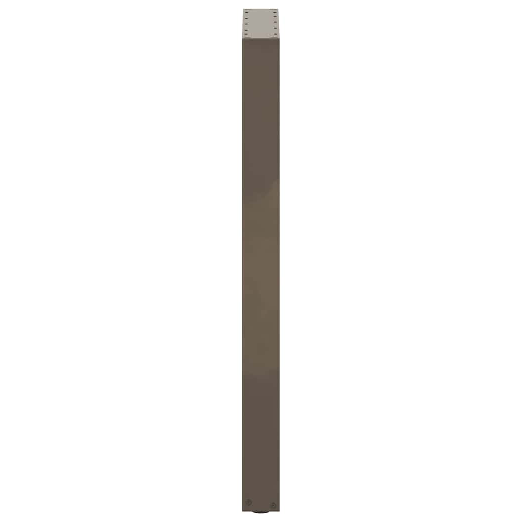 Bartafelpoten 2 st U-vormig 40x(100-101) cm staal naturel