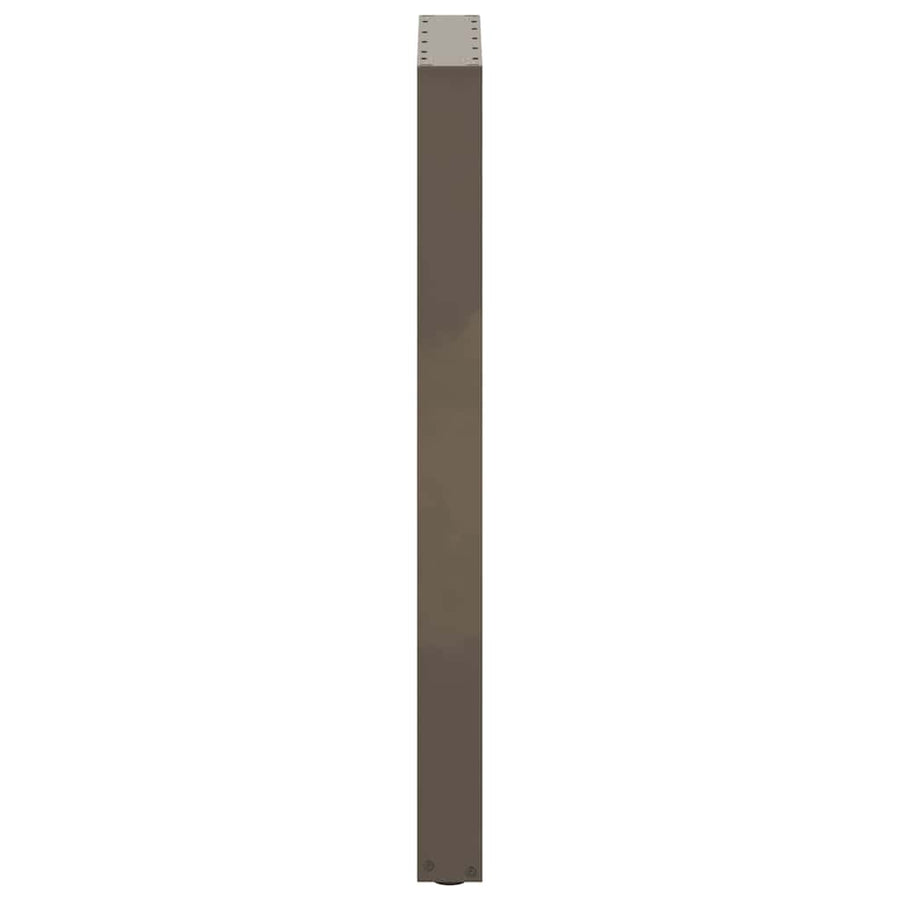 Bartafelpoten 2 st U-vormig 40x(100-101) cm staal naturel