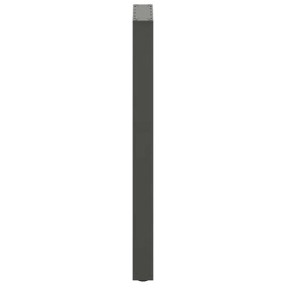 Salontafelpoten 2 st U-vormig 50x(100-101) cm staal antraciet