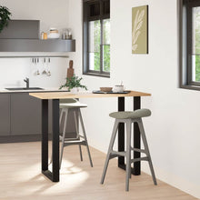 Bartafelpoten 2 st U-vormig 60x(100-101) cm staal zwart