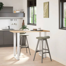 Bartafelpoten 2 st U-vormig 60x(100-101) cm staal wit