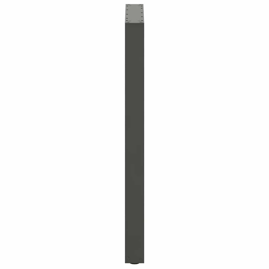 Bartafelpoten 2 st U-vormig 60x(100-101) cm staal antraciet