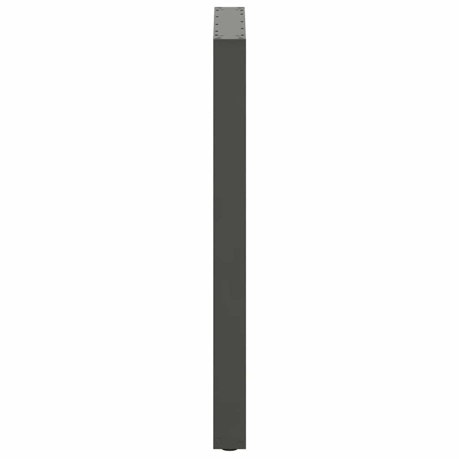 Bartafelpoten 2 st U-vormig 60x(100-101) cm staal antraciet