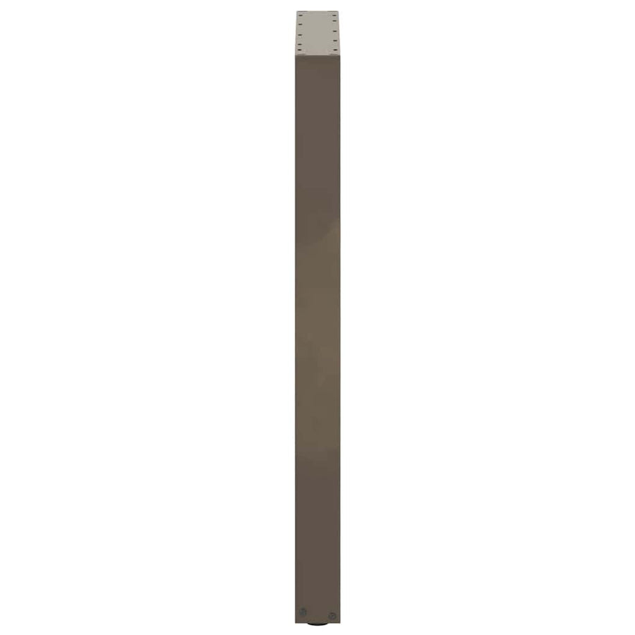 Salontafelpoten U-Vormig Staal Naturel 2 60 x (100-101) cm