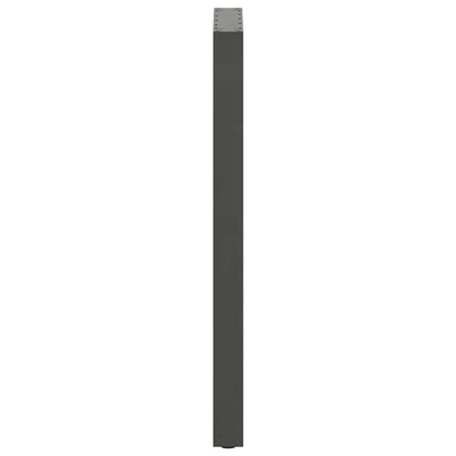 Bartafelpoten 2 st U-vormig 40x(110-111) cm staal antraciet
