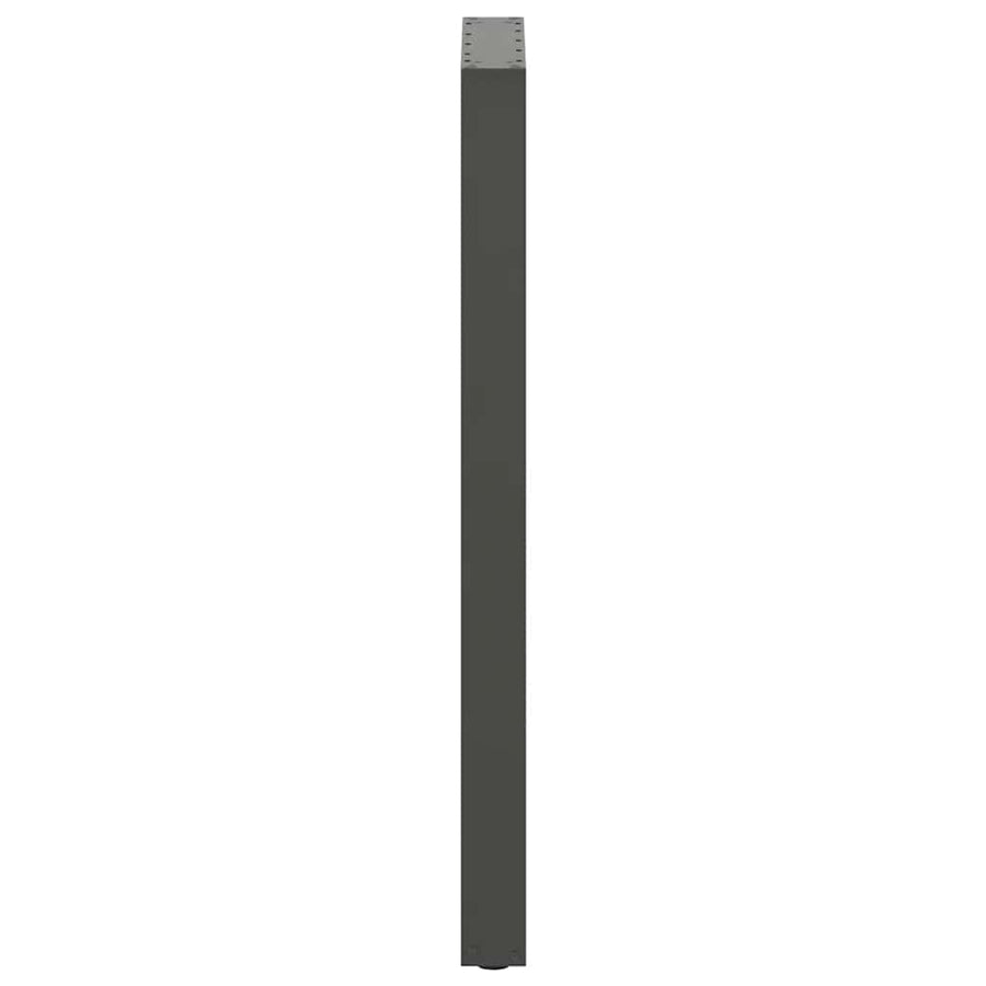 Bartafelpoten 2 st U-vormig 50x(110-111) cm staal antraciet