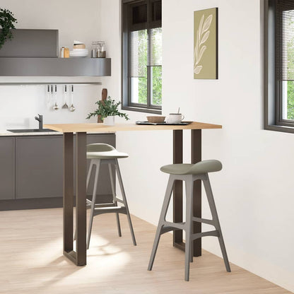 Bartafelpoten 2 st U-vormig 50x(110-111) cm staal naturel