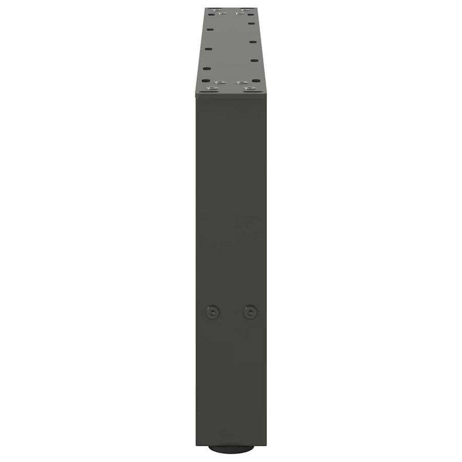 Salontafelpoten 2 st 30×60 cm staal antraciet