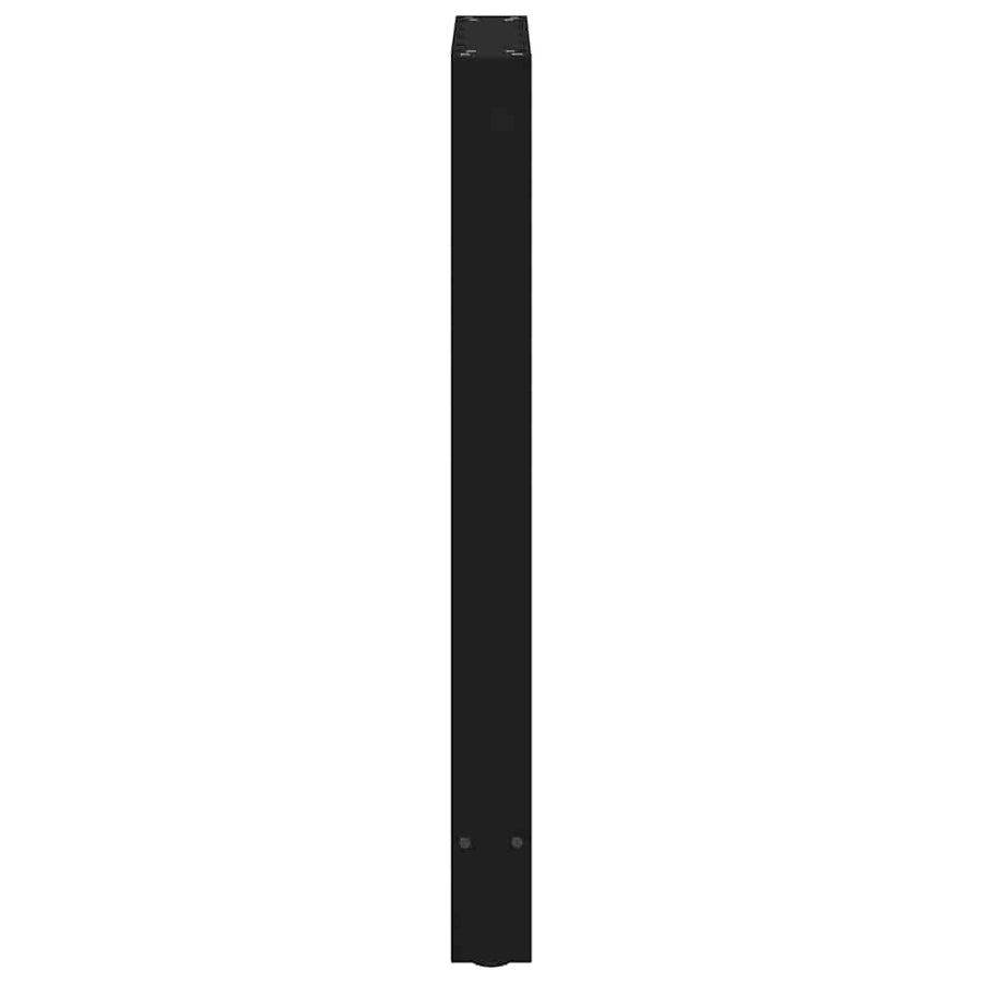 Bartafelpoten 2 st 40x(90-91) cm staal zwart