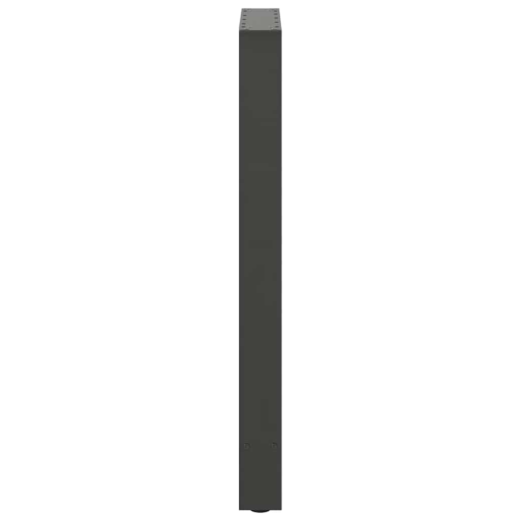 Bartafelpoten 2 st 40x(90-91) cm staal antraciet