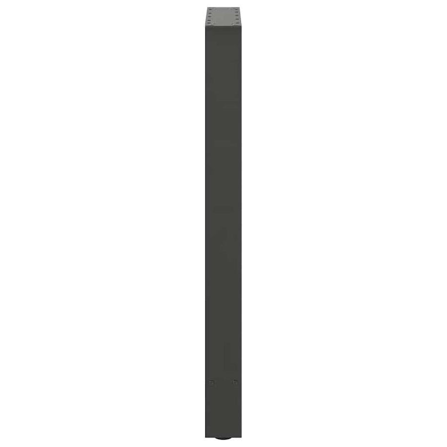 Bartafelpoten 2 st 40x(90-91) cm staal antraciet