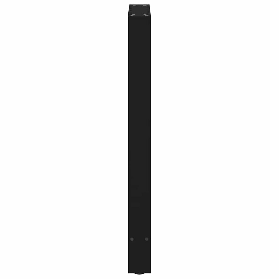 Bartafelpoten 2 st 50x(90-91) cm staal zwart