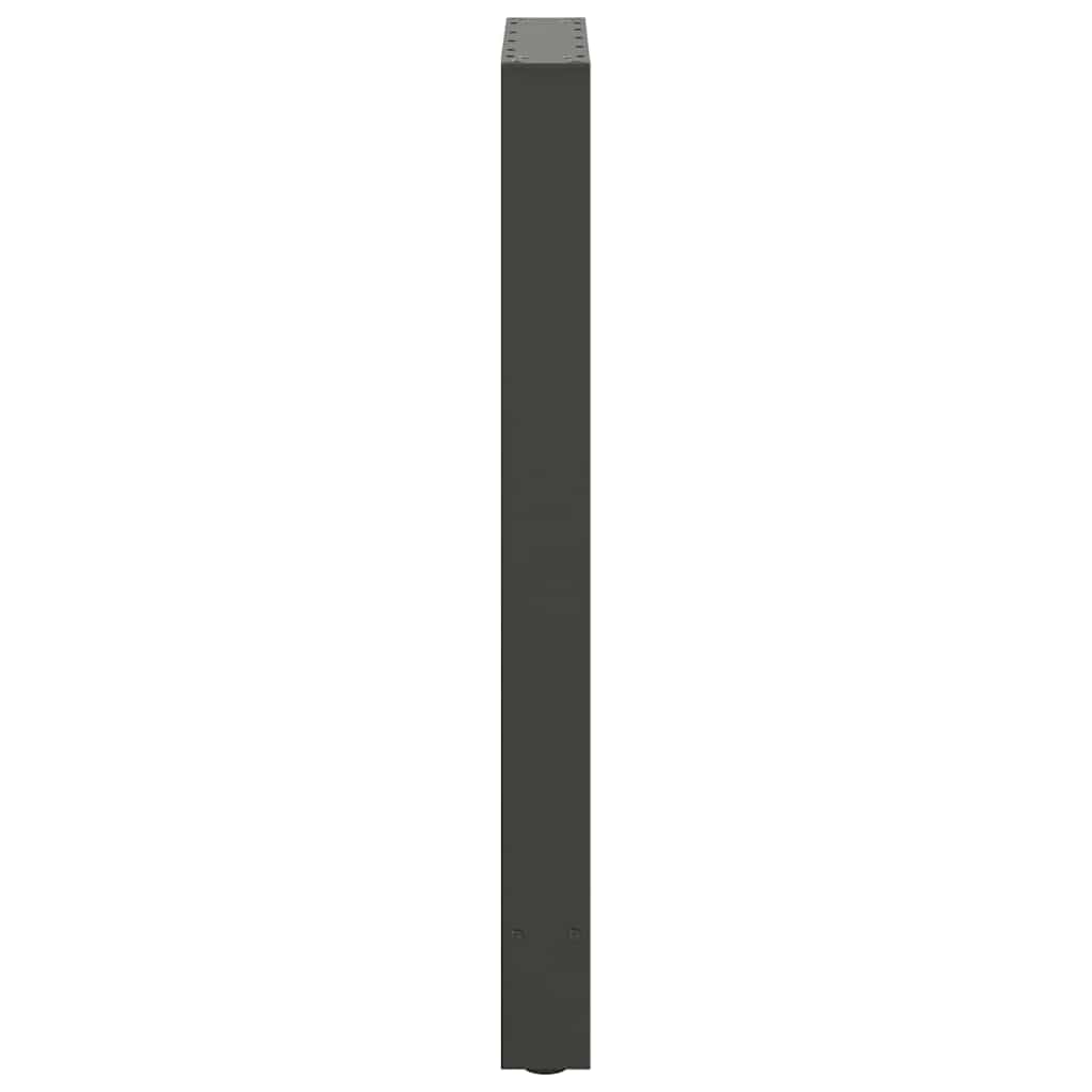 Bartafelpoten 2 st 50x(90-91) cm staal antraciet