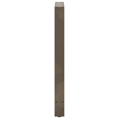 Salontafelpoten Staal Naturel 50 x (90-91) cm
