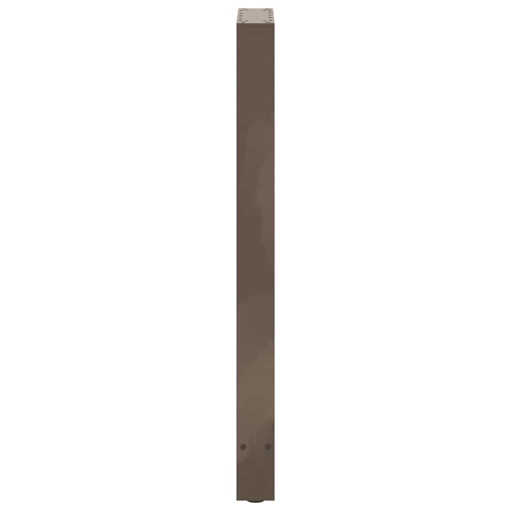 Salontafelpoten Staal Naturel 50 x (100-101) cm