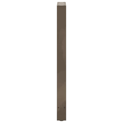 Salontafelpoten Staal Naturel 50 x (100-101) cm