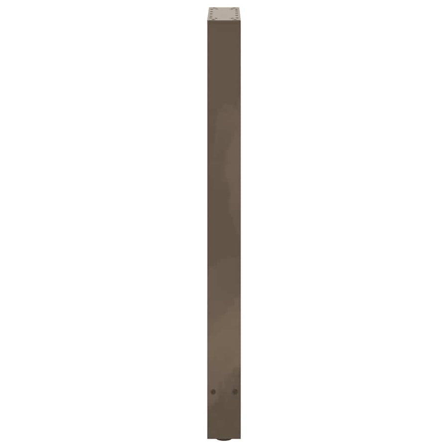 Salontafelpoten Staal Naturel 50 x (100-101) cm