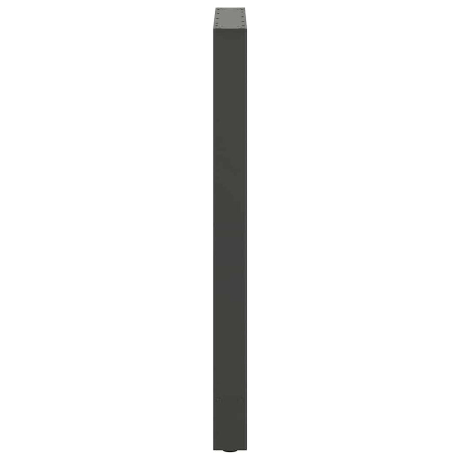 Bartafelpoten 2 st 60x(100-101) cm staal antraciet