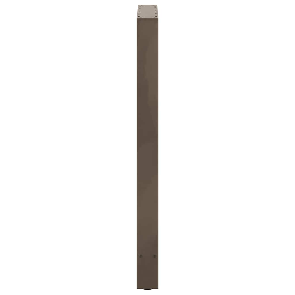Salontafelpoten Staal Naturel 60 x (100-101) cm