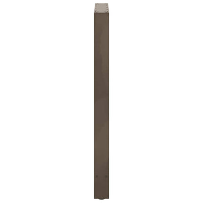 Salontafelpoten Staal Naturel 60 x (100-101) cm