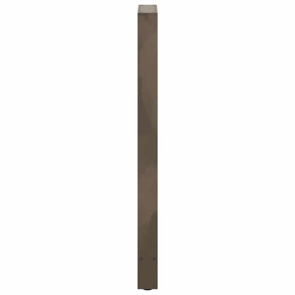 Salontafelpoten Staal Naturel 40 x (110-111) cm