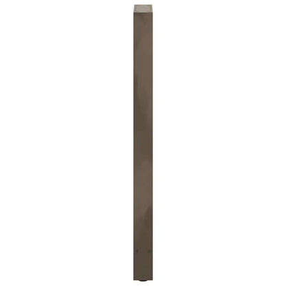 Salontafelpoten Staal Naturel 50 x (110-111) cm