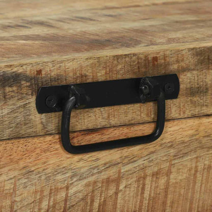 Opbergkisten met opslag Bruin 80 x 30 x 30 cm Massief mangohout