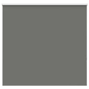 Rolgordijn verduisterend 160x175 cm grijs