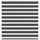 Zebra rolgordijn 150x100 cm zwart