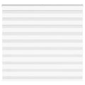 Zebra Blind 165x100 cm stofbreedte 160,9 cm polyester wit