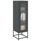 Tall cabinet 36x39x123 cm cold-rolled steel anthracite