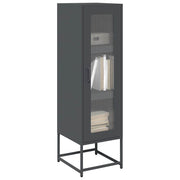 Tall cabinet 36x39x123 cm cold-rolled steel anthracite