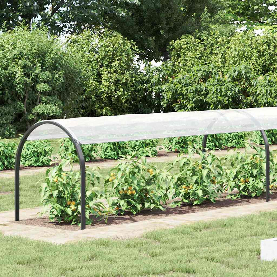 Doorzichtig zeildoek met zeilringen 1x10 m polyethyleen