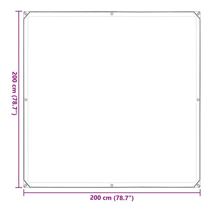 Doorzichtig zeildoek met zeilringen 2x2 m polyethyleen
