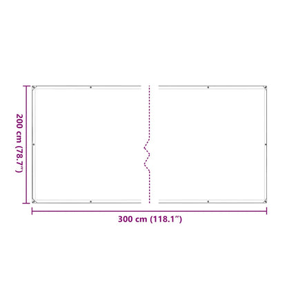 Doorzichtig zeildoek met zeilringen 2x3 m polyethyleen