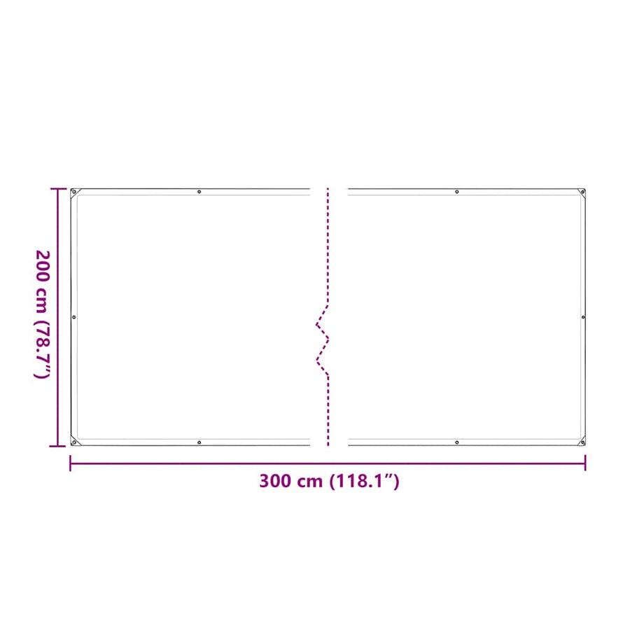 Doorzichtig zeildoek met zeilringen 2x3 m polyethyleen
